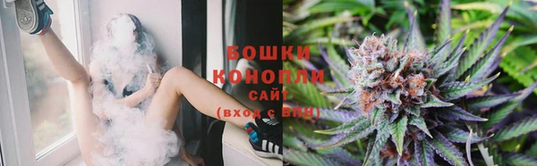 PSILOCYBIN Алзамай