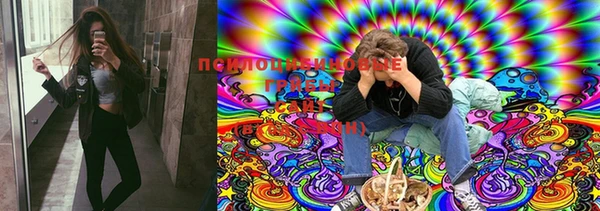 PSILOCYBIN Алзамай