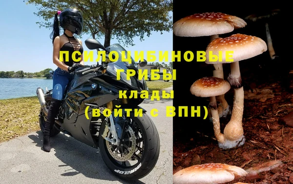 PSILOCYBIN Алексин