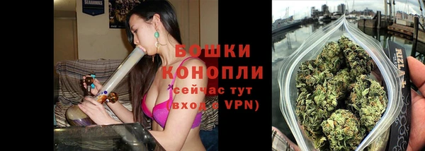 PSILOCYBIN Алзамай