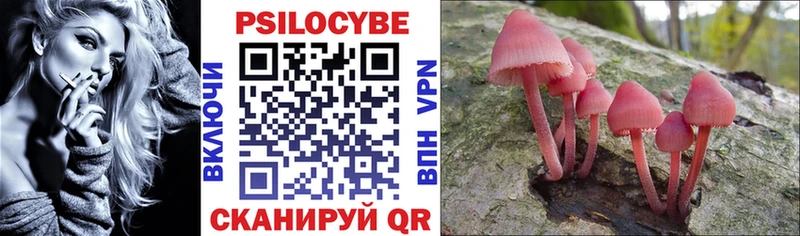 Псилоцибиновые грибы Cubensis где купить Биробиджан